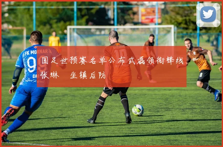 国足世预赛名单公布武磊领衔锋线张琳芃坐镇后防