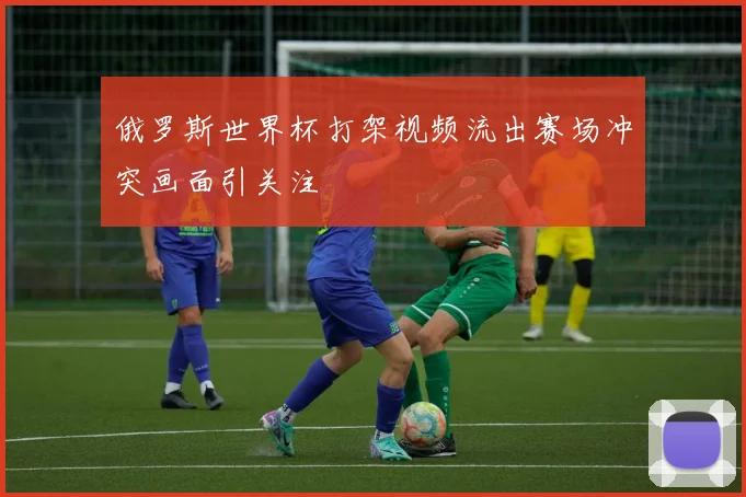 俄罗斯世界杯打架视频流出赛场冲突画面引关注