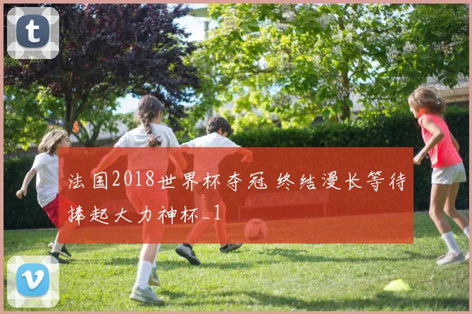 法国2018世界杯夺冠 终结漫长等待捧起大力神杯_1