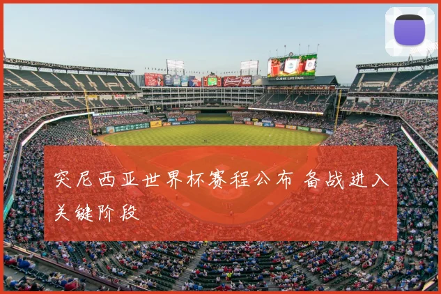 突尼西亚世界杯赛程公布 备战进入关键阶段