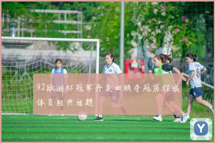 92欧洲杯冠军丹麦回顾夺冠历程成体育经典话题